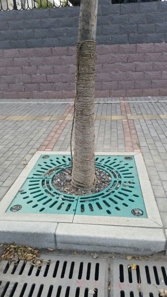 拜斯特护树板